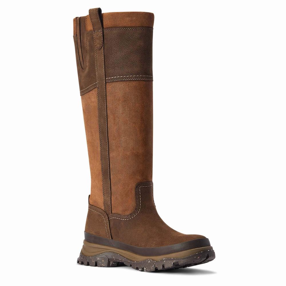 Women's Ariat Moresby Tall Waterproof Waterproof Boots Multicolor | OGZQ-09178