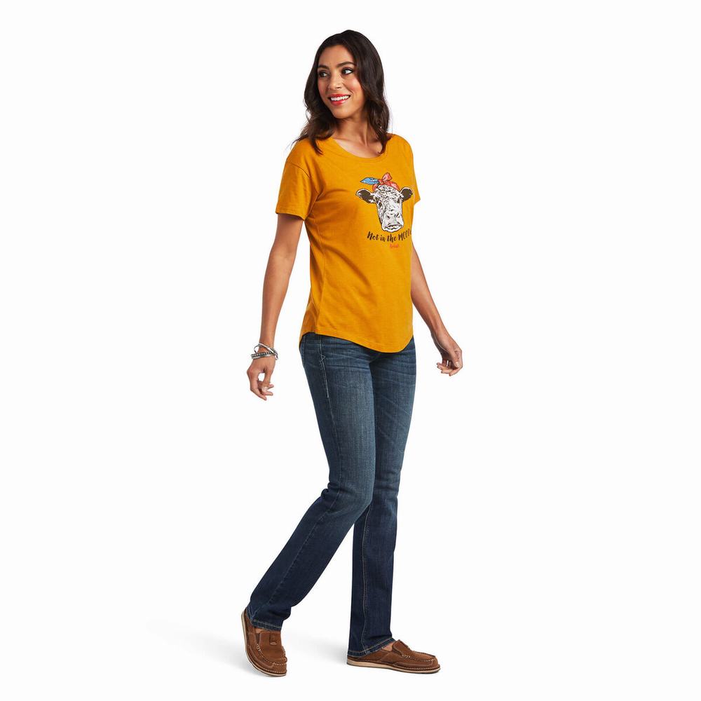 Women's Ariat Not in the Mood Tops Multicolor | GOSM-32678