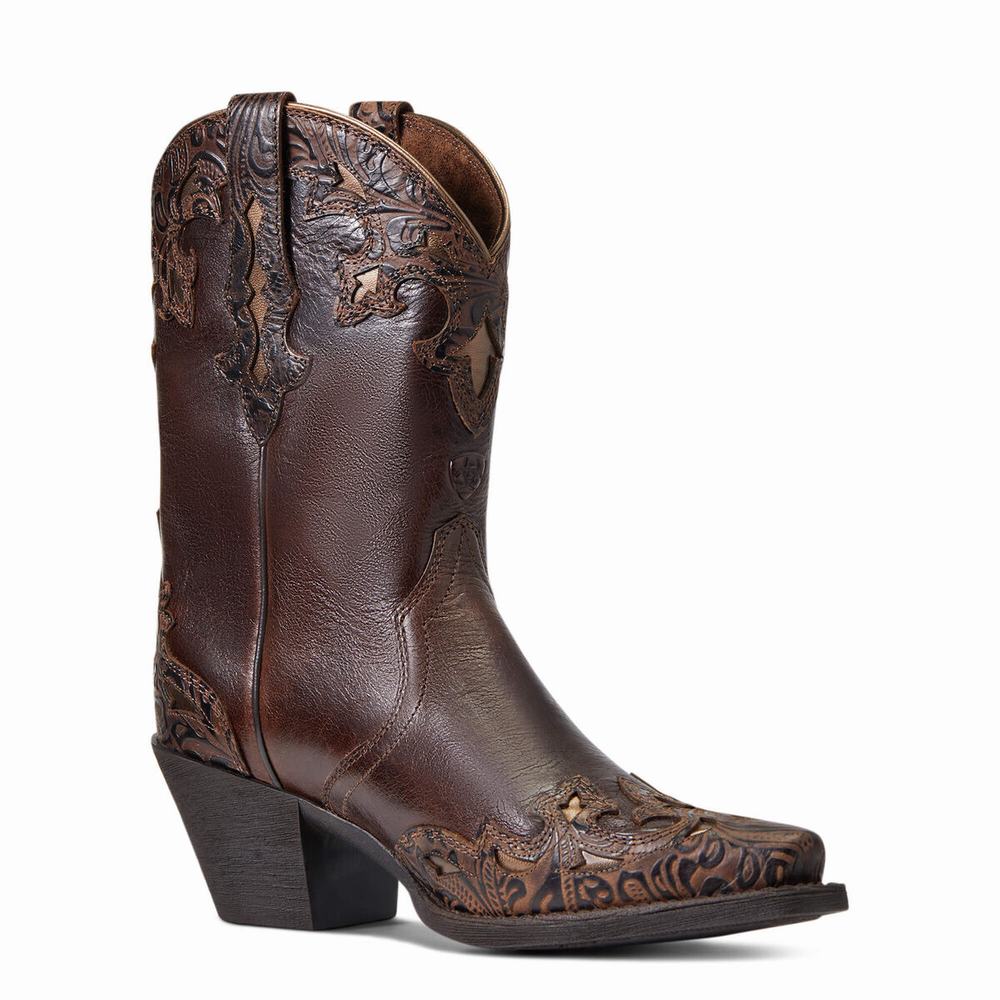 Women's Ariat Patsy Dress Boots Multicolor | MCIZ-60289