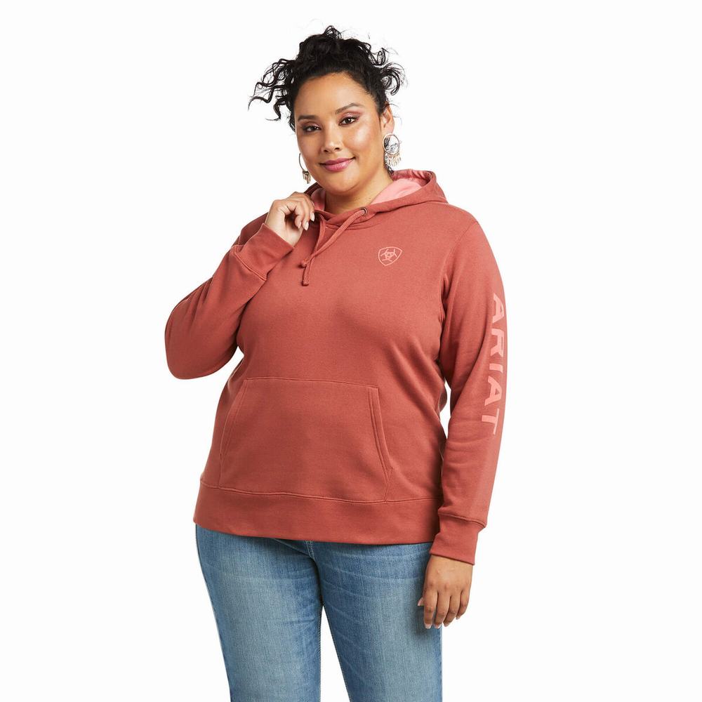 Women's Ariat REAL Arm Logo Hoodie Multicolor | XIPD-56874