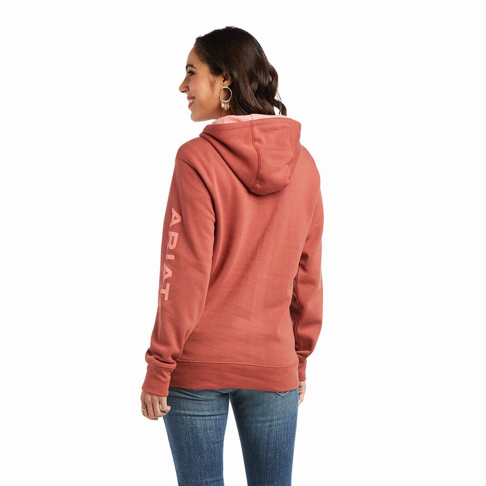 Women's Ariat REAL Arm Logo Hoodie Multicolor | XIPD-56874