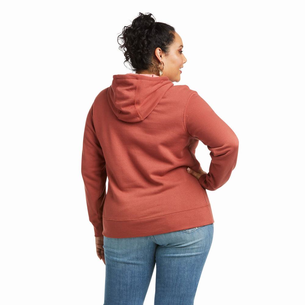 Women's Ariat REAL Arm Logo Hoodie Multicolor | XIPD-56874