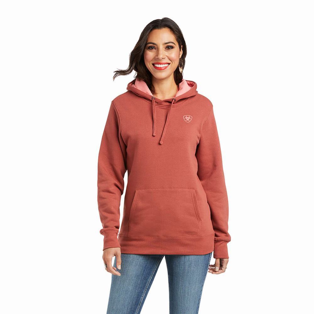 Women\'s Ariat REAL Arm Logo Hoodie Multicolor | XIPD-56874