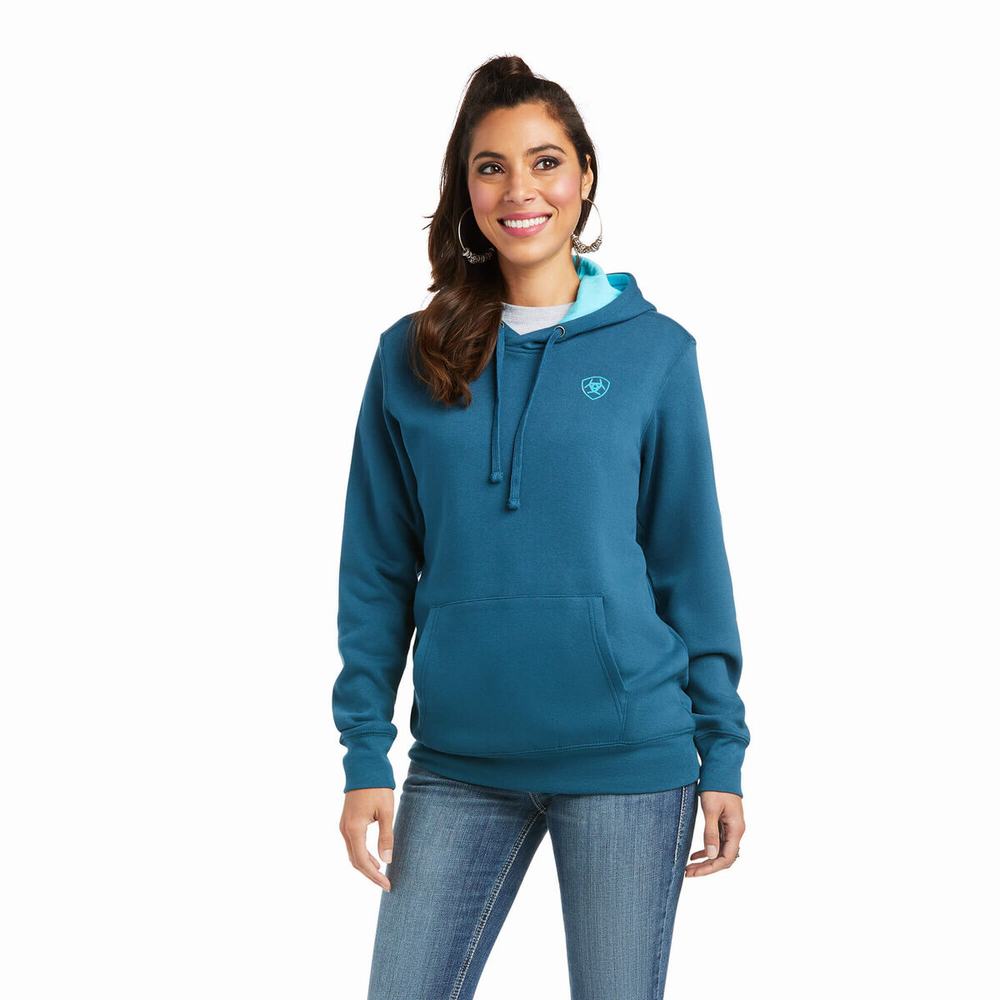 Women\'s Ariat REAL Arm Logo Hoodie Multicolor | XKOZ-67542