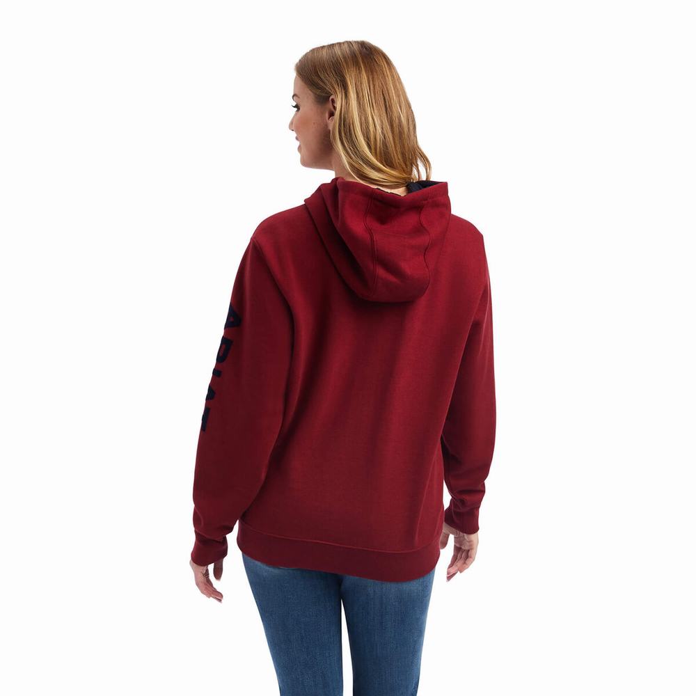 Women's Ariat REAL Arm Logo Hoodie Multicolor | YEJG-95246