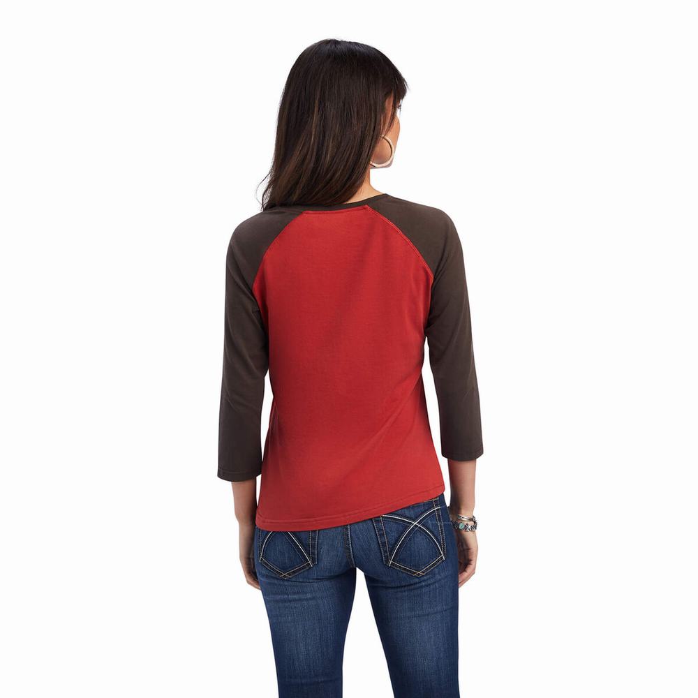 Women's Ariat REAL Arrow Classic Fit Tops Multicolor | PYUB-41763