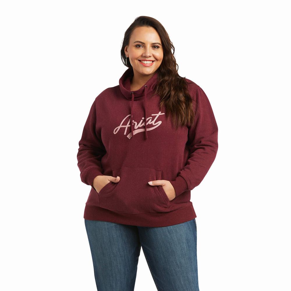 Women's Ariat REAL Logo Script Cowl Hoodie Multicolor | FTMU-24165