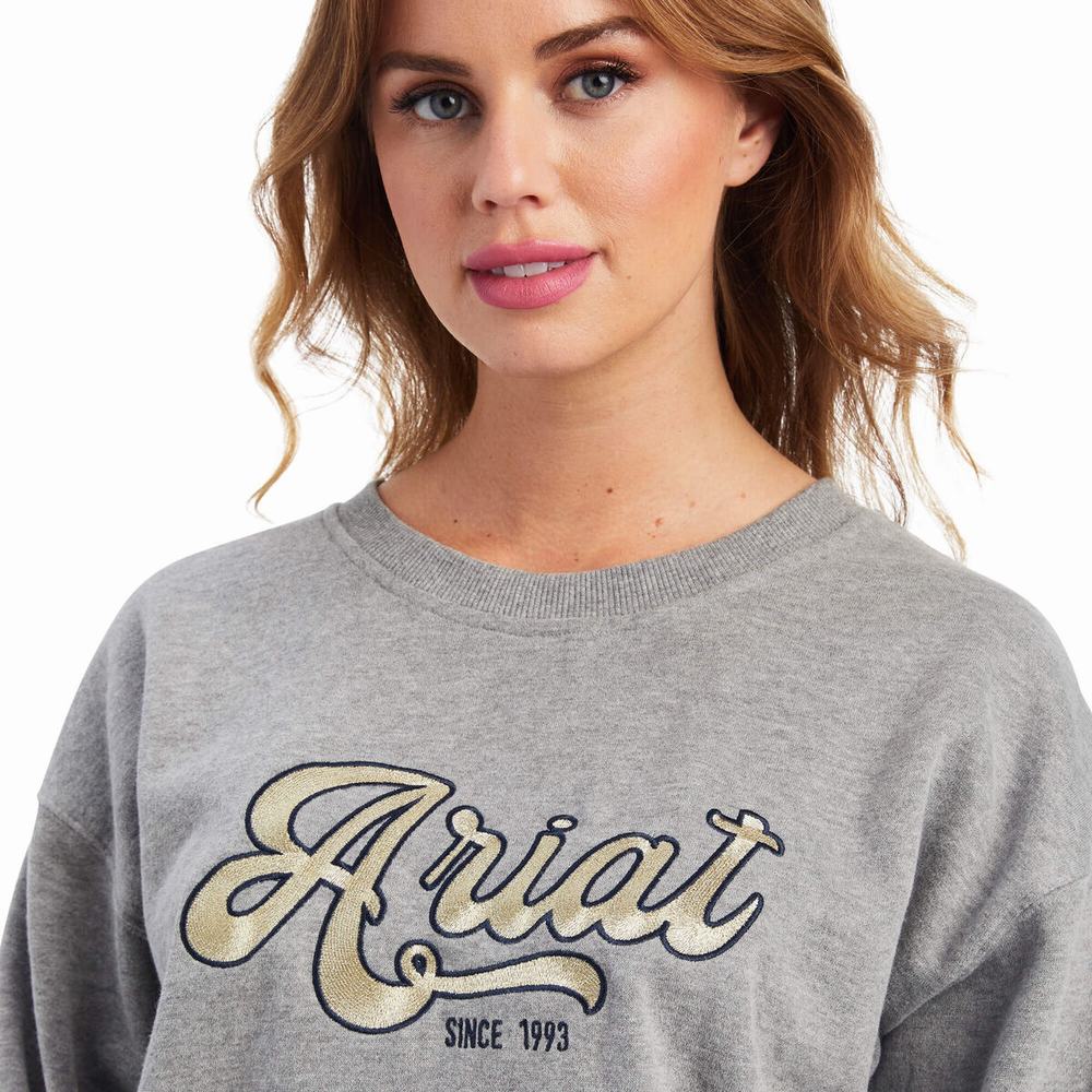 Women's Ariat REAL Metallic Varsity Logo Hoodie Grey | OZVX-06147