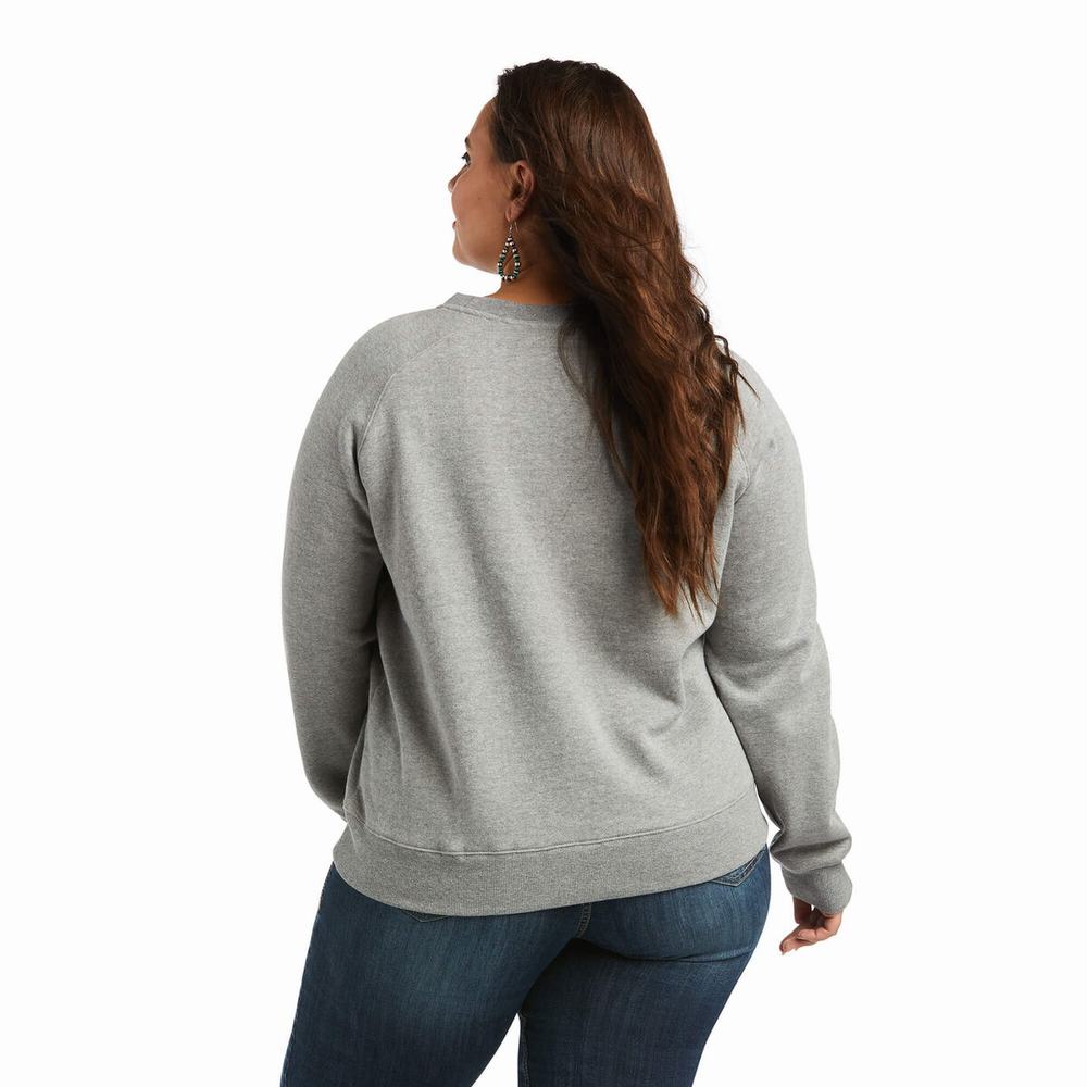 Women's Ariat REAL Pacific Steerhead Hoodie Grey | SQXF-64810