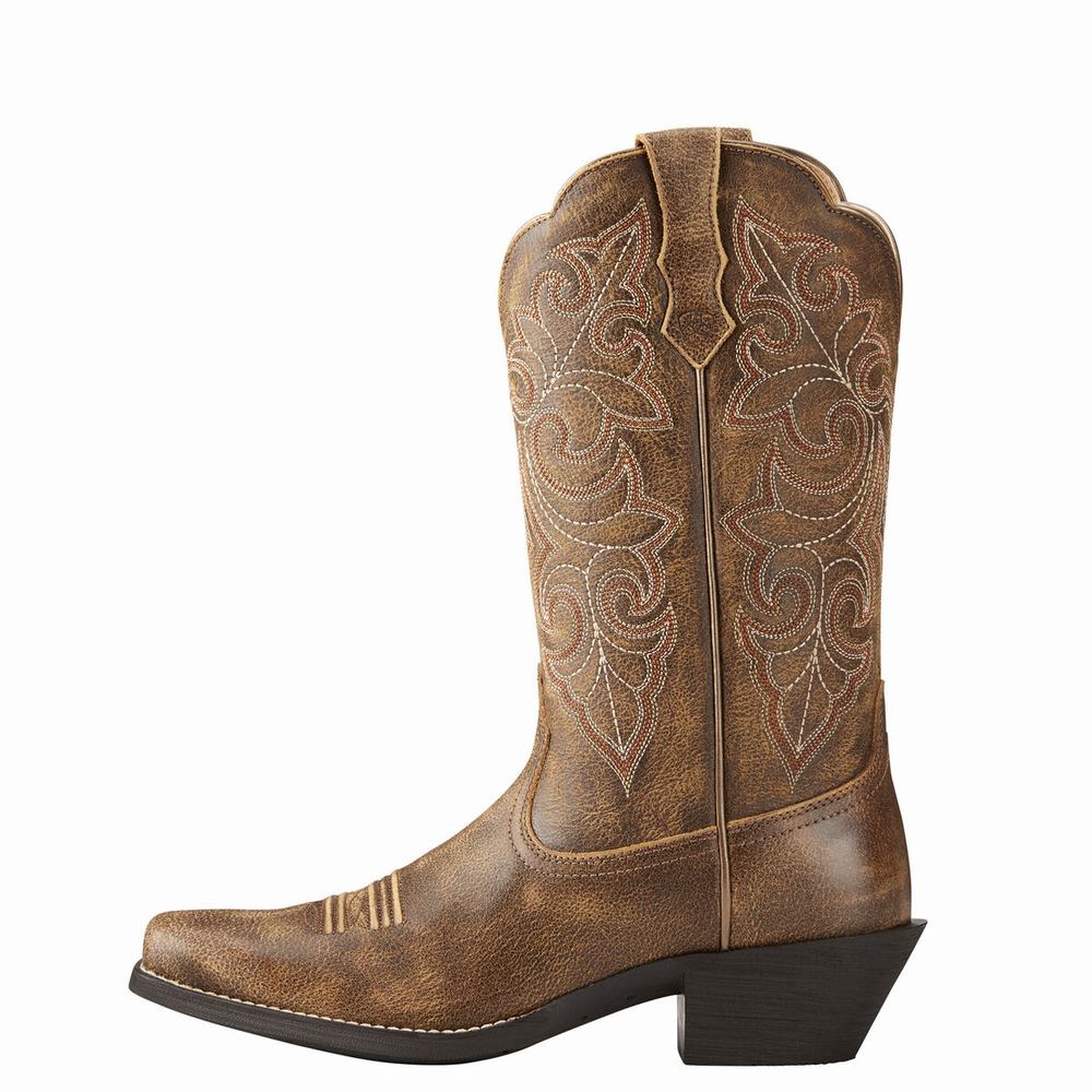 Women's Ariat Round Up Square Toe Dress Boots Multicolor | VMPA-71694