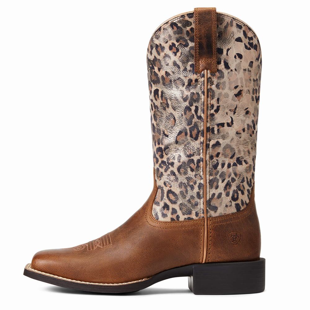 Women's Ariat Round Up Wide Square Toe Western Boots Brown | ZGLR-21047