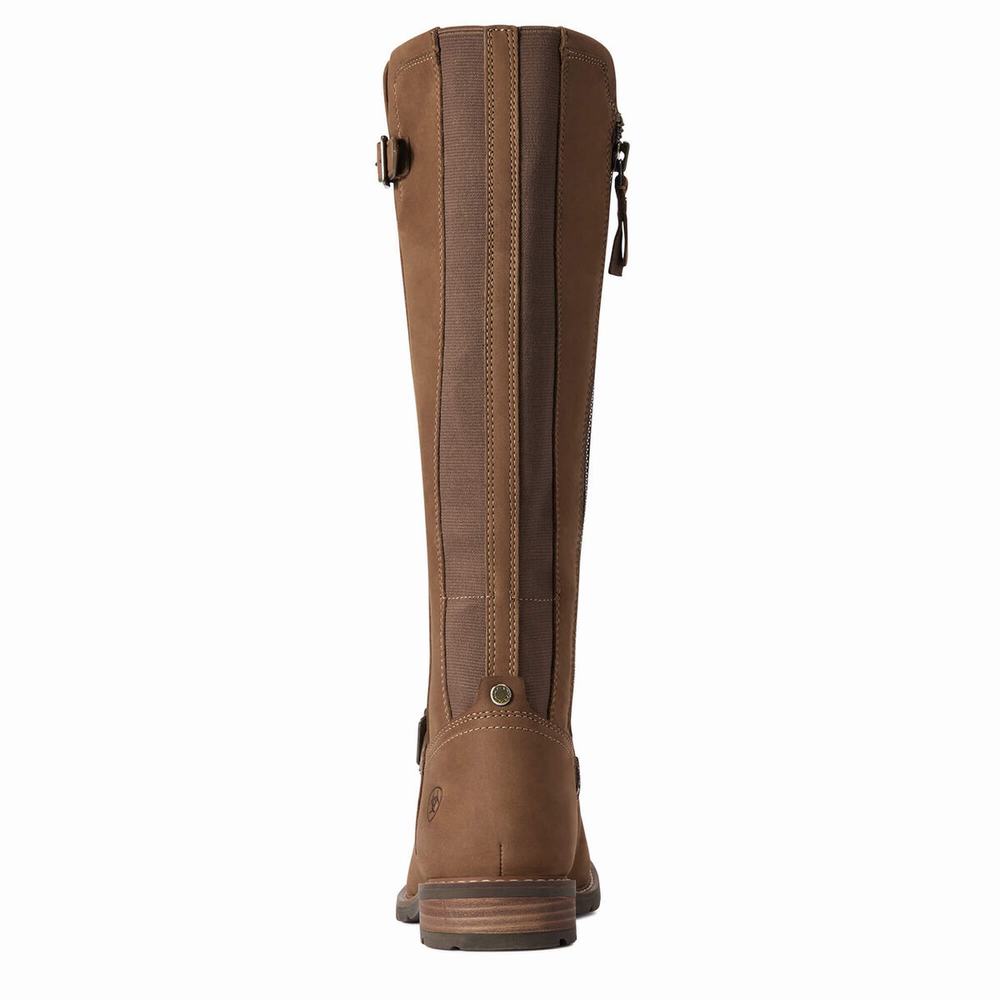 Women's Ariat Sadie Waterproof Dress Boots Multicolor | DKAS-19480