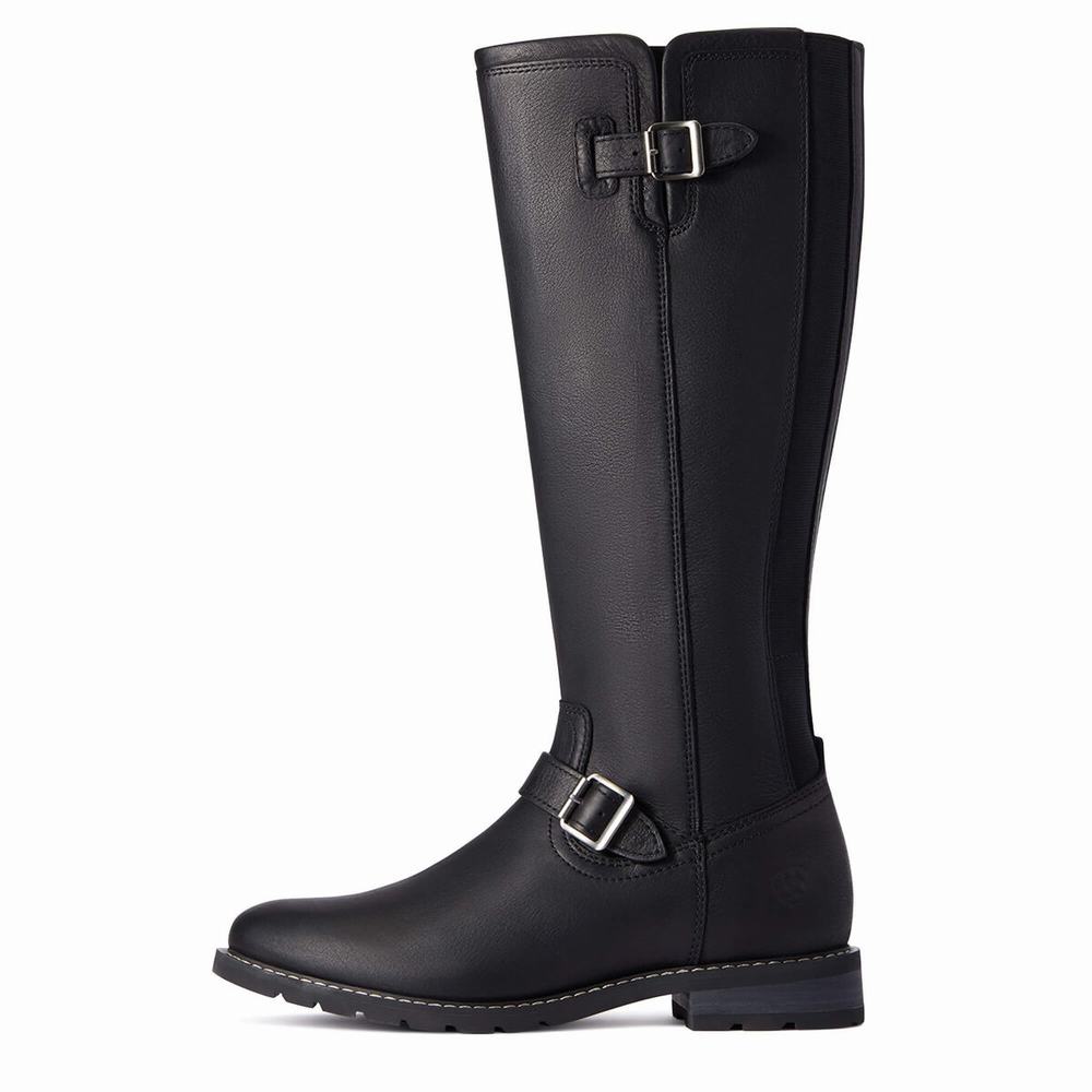 Women's Ariat Sadie Waterproof Dress Boots Black | ONUF-13528