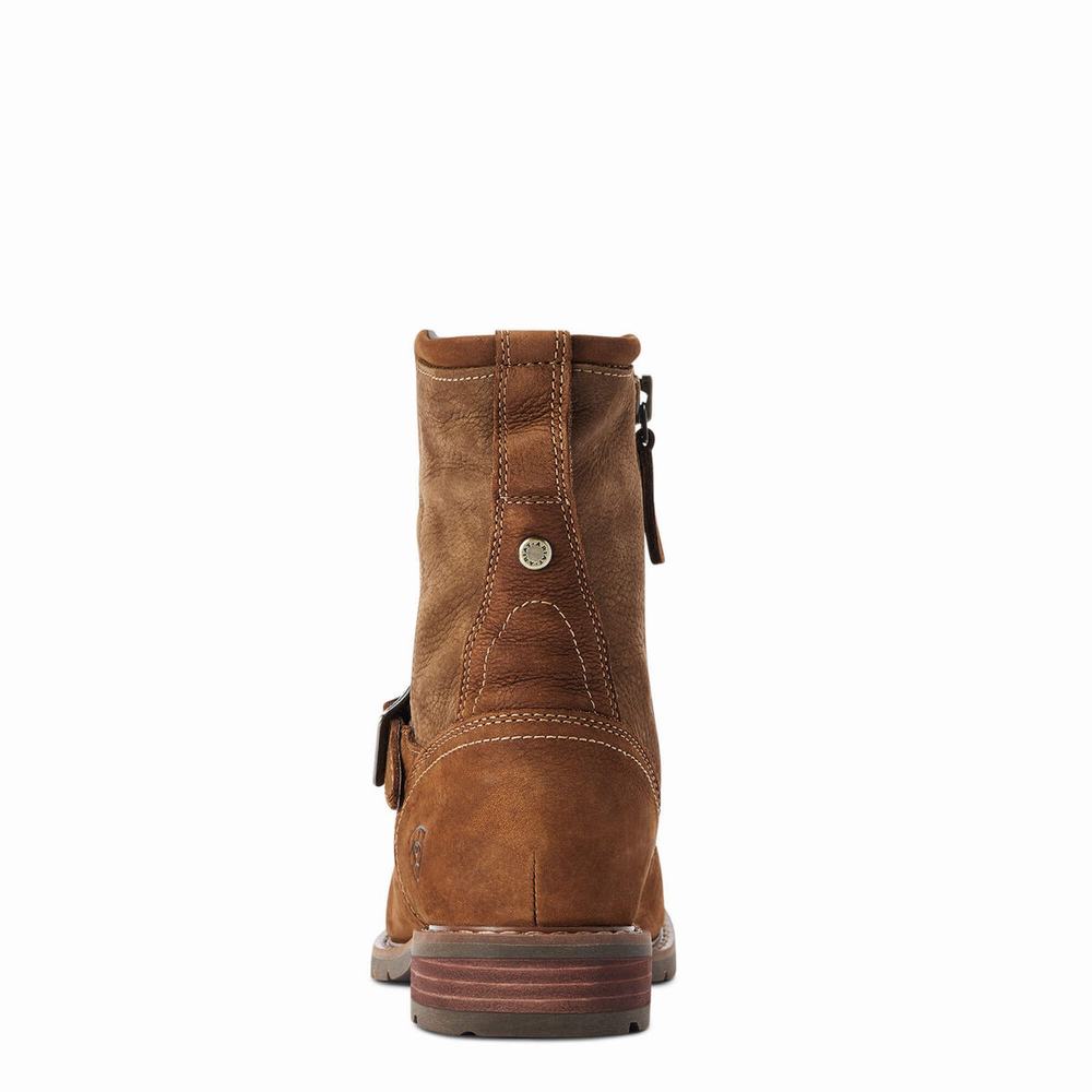 Women's Ariat Savannah Waterproof Dress Boots Multicolor | XVAH-41506