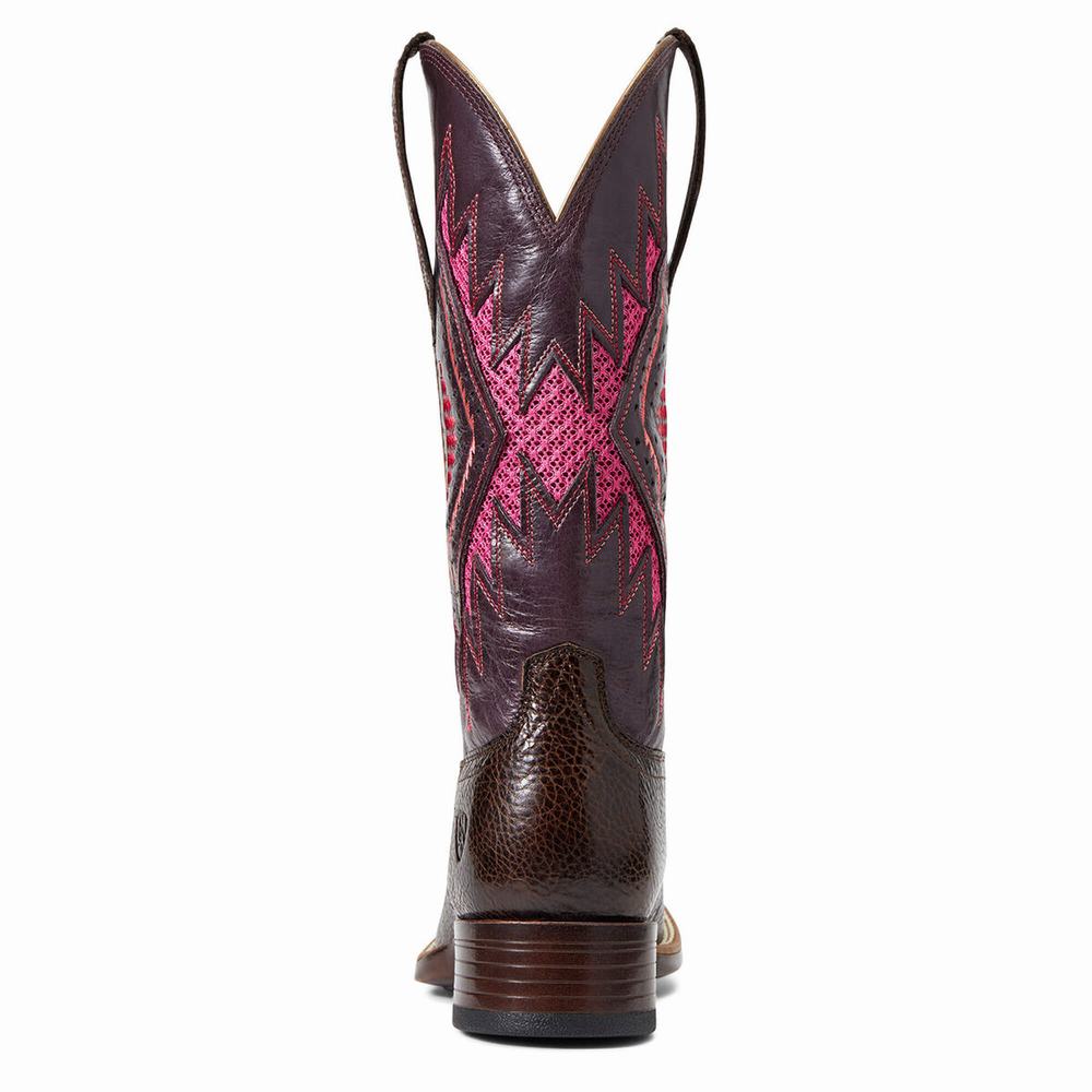 Women's Ariat Sienna VentTek 360 Western Boots Chocolate | YZMR-78396