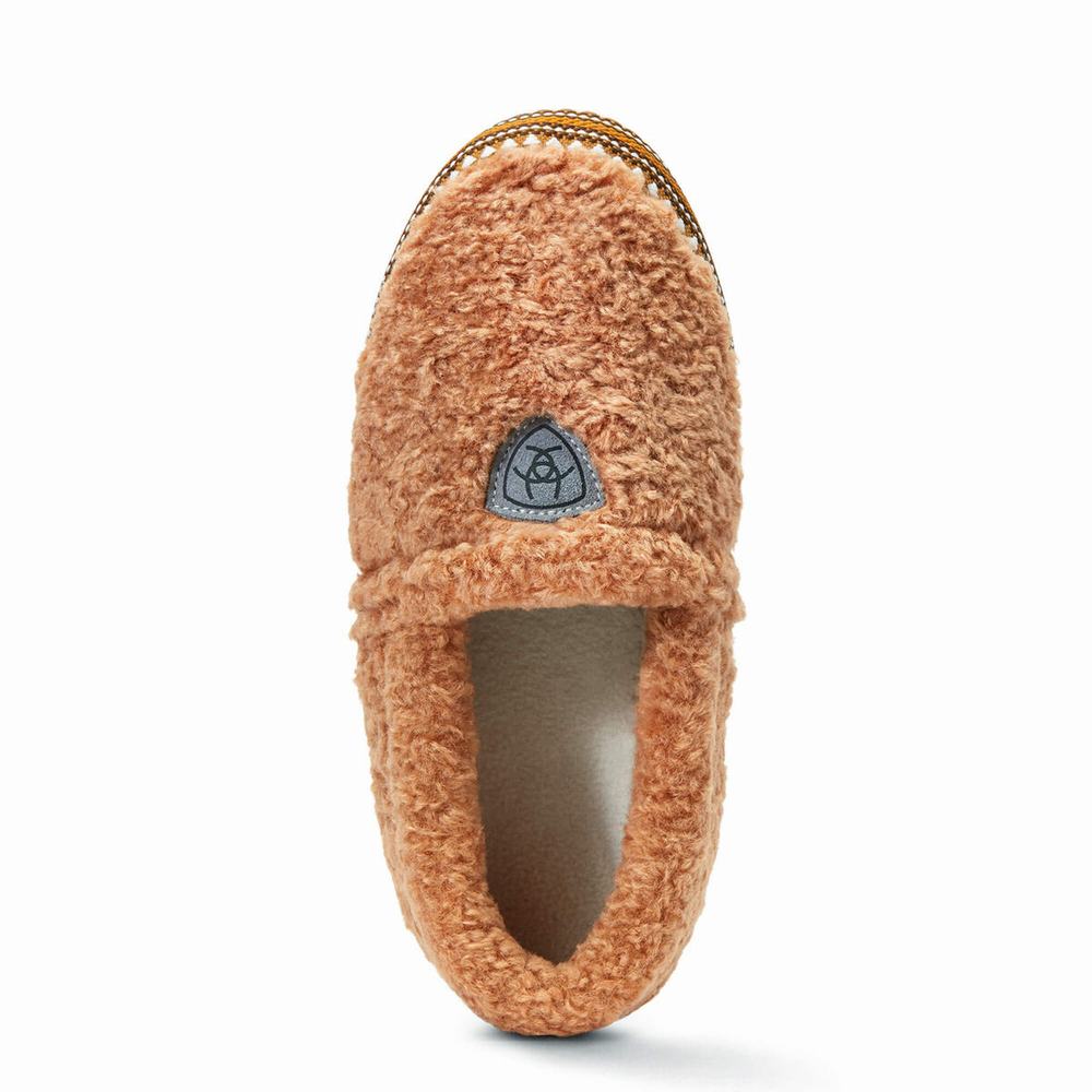 Women's Ariat Snuggle Slippers Brown | VHQP-15946