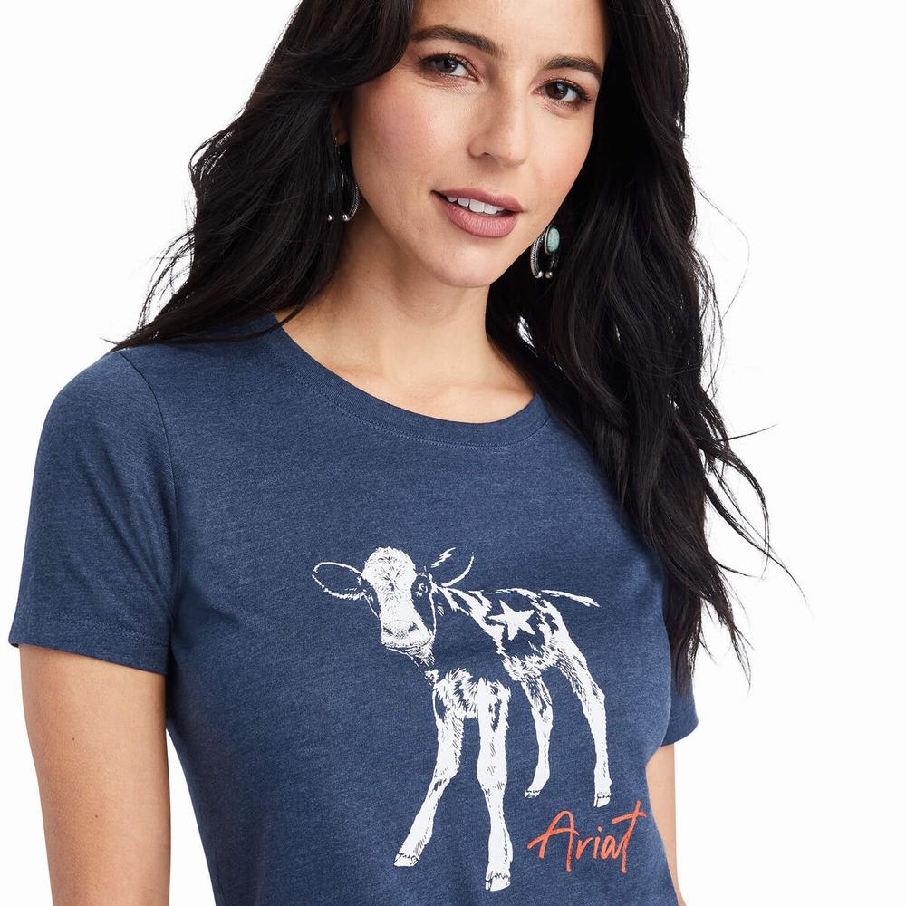 Women's Ariat Star Calf Tops Navy | TCDQ-79358