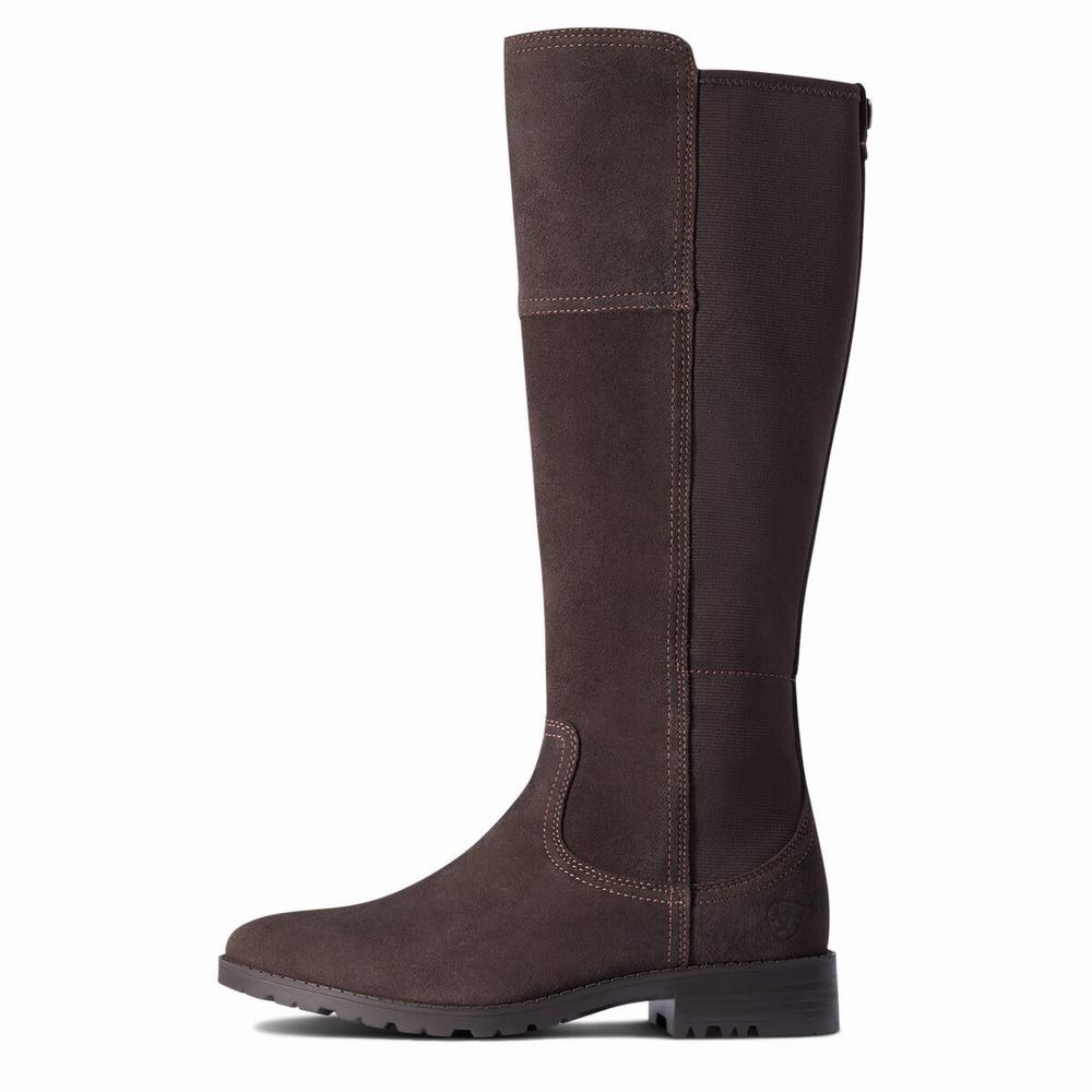 Women's Ariat Sutton II Waterproof Dress Boots Chocolate | BESZ-17425