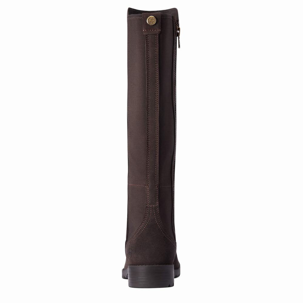 Women's Ariat Sutton II Waterproof Dress Boots Chocolate | BESZ-17425