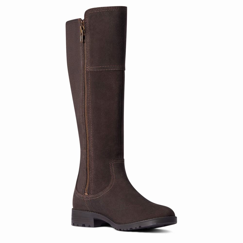 Women's Ariat Sutton II Waterproof Dress Boots Chocolate | BESZ-17425