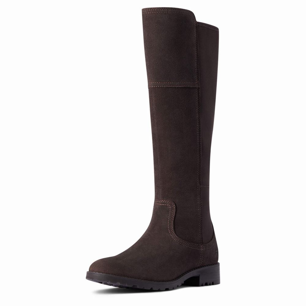 Women\'s Ariat Sutton II Waterproof Dress Boots Chocolate | BESZ-17425