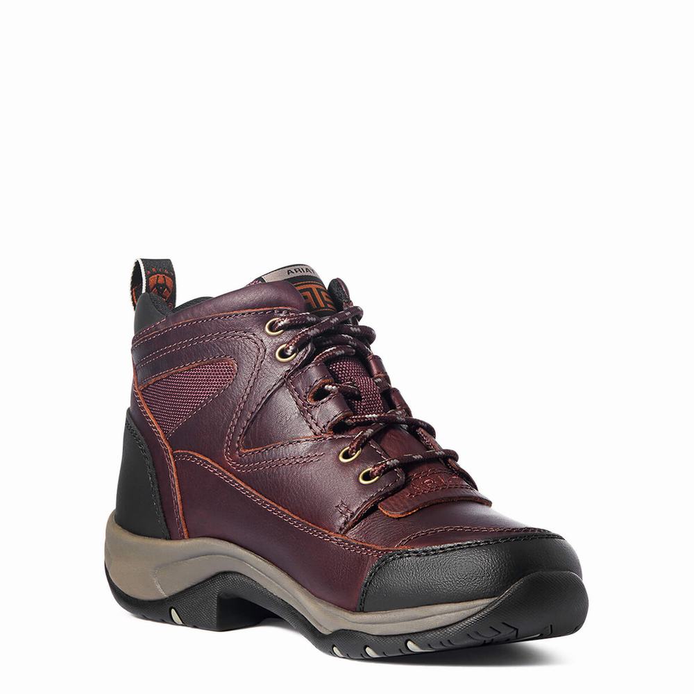 Women's Ariat Terrain Hiking Boots Dark Brown | LUHJ-82763