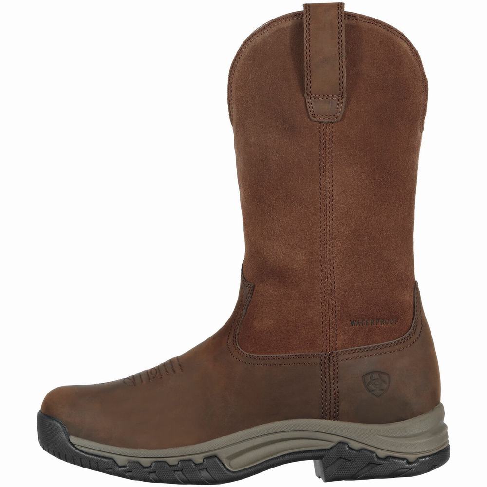 Women's Ariat Terrain Pull On Waterproof Riding Boots Brown | DMST-05148