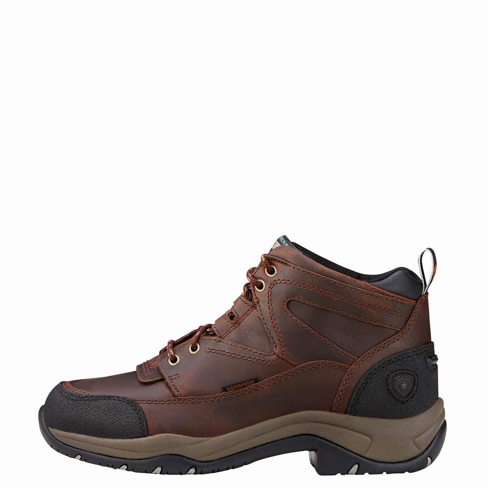 Women's Ariat Terrain Waterproof Hiking Boots Copper | DXYP-92547