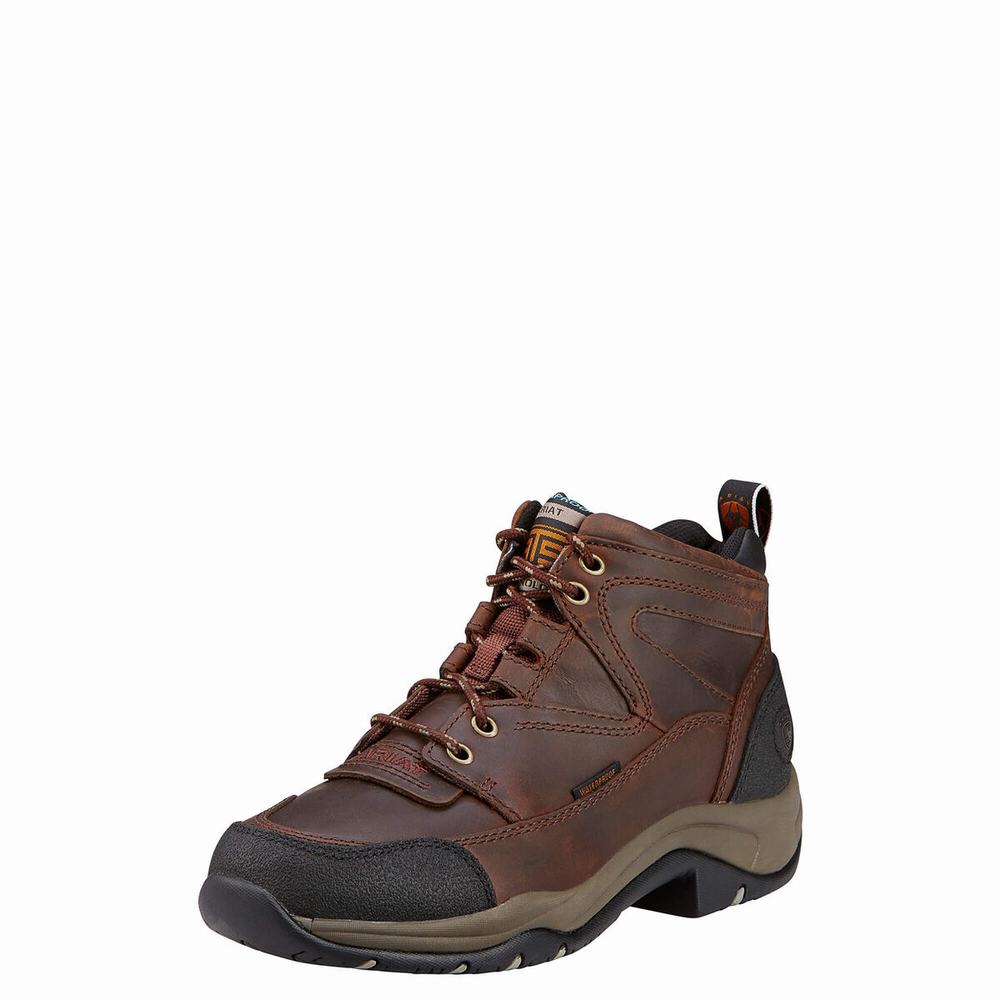 Women\'s Ariat Terrain Waterproof Hiking Boots Copper | DXYP-92547