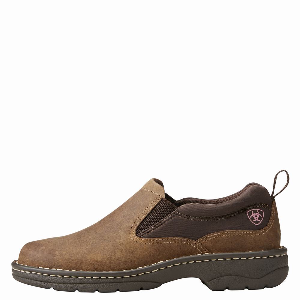 Women's Ariat Traverse Sneakers Brown | SZHB-39845