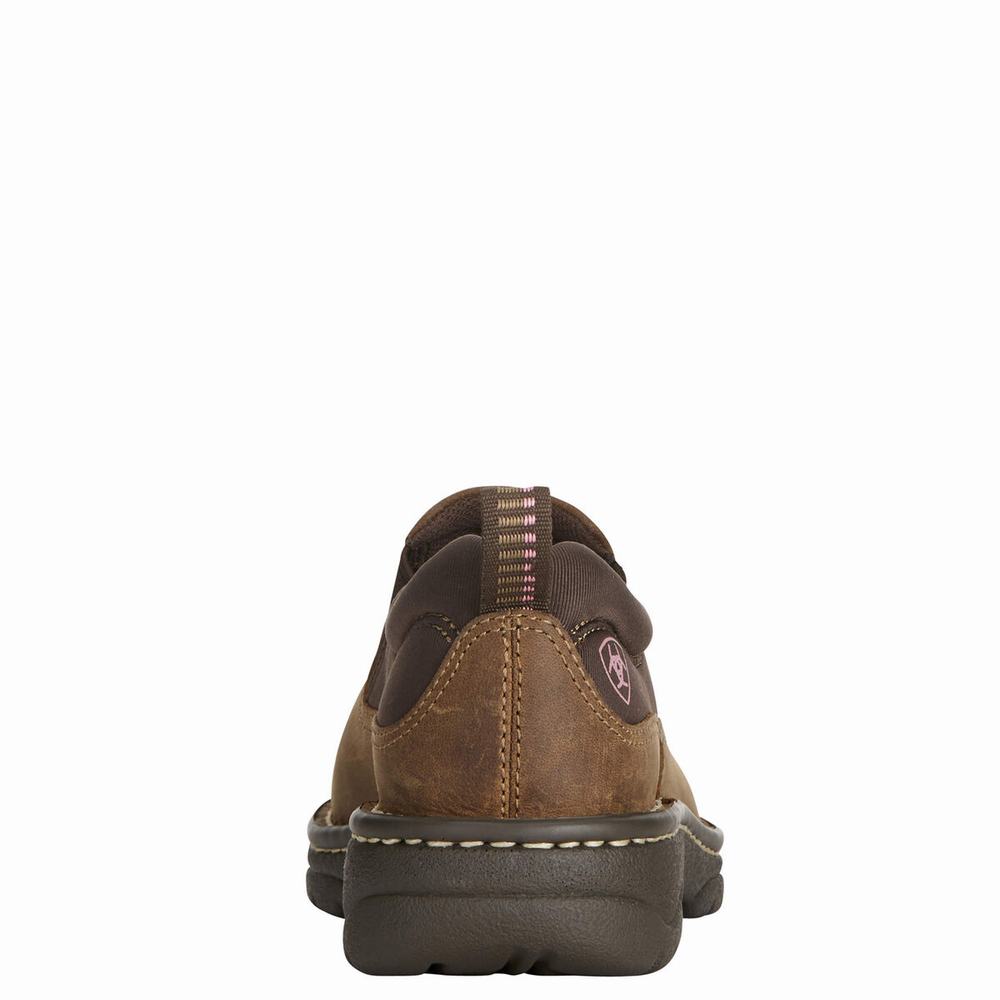 Women's Ariat Traverse Sneakers Brown | SZHB-39845