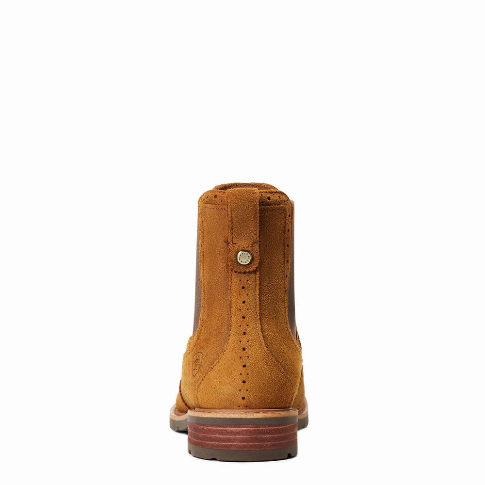 Women's Ariat Wexford Brogue Waterproof Waterproof Boots Orange | AFCL-57498