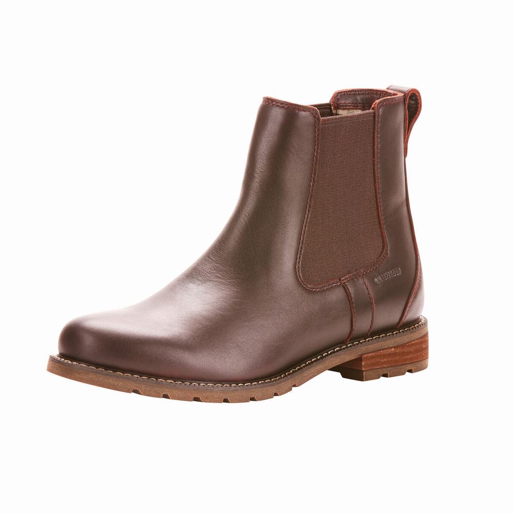 Women's Ariat Wexford Waterproof Dress Boots Dark Brown | SWGY-18057