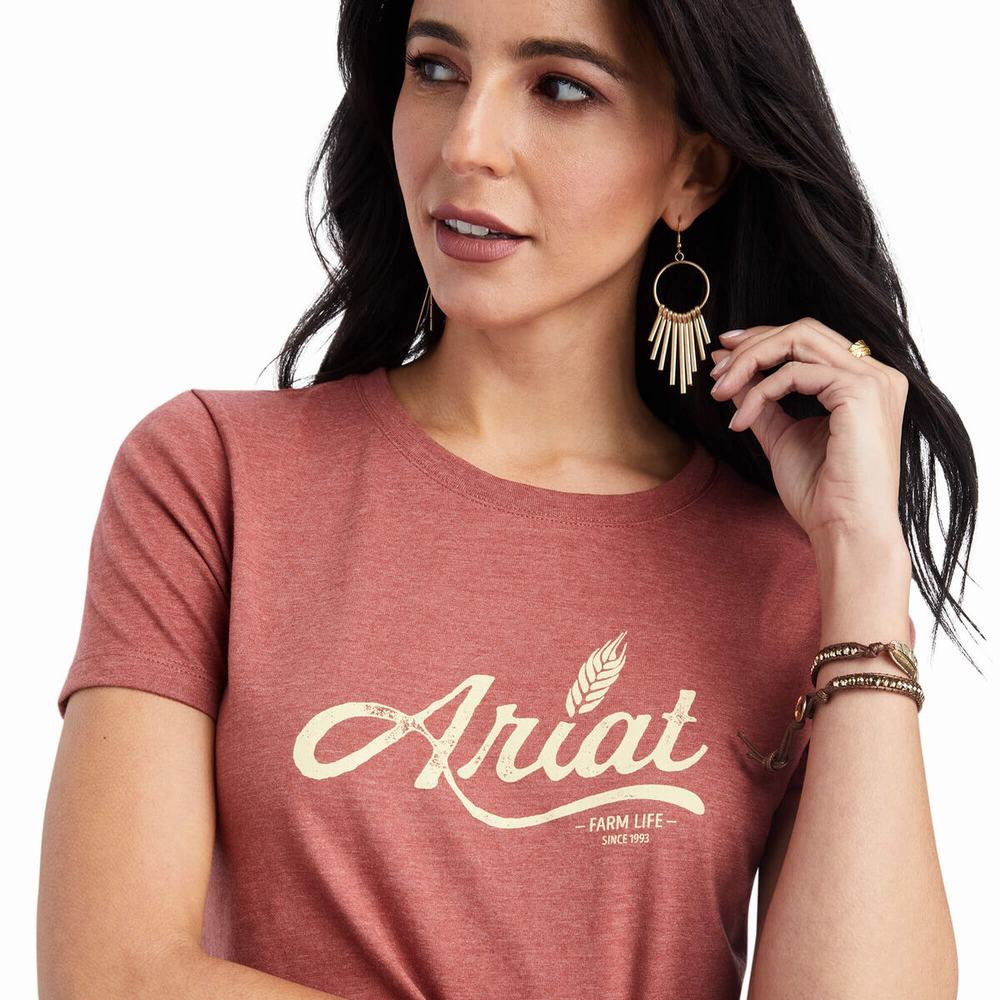 Women's Ariat Wheat Script Tops Red | LDRY-90457