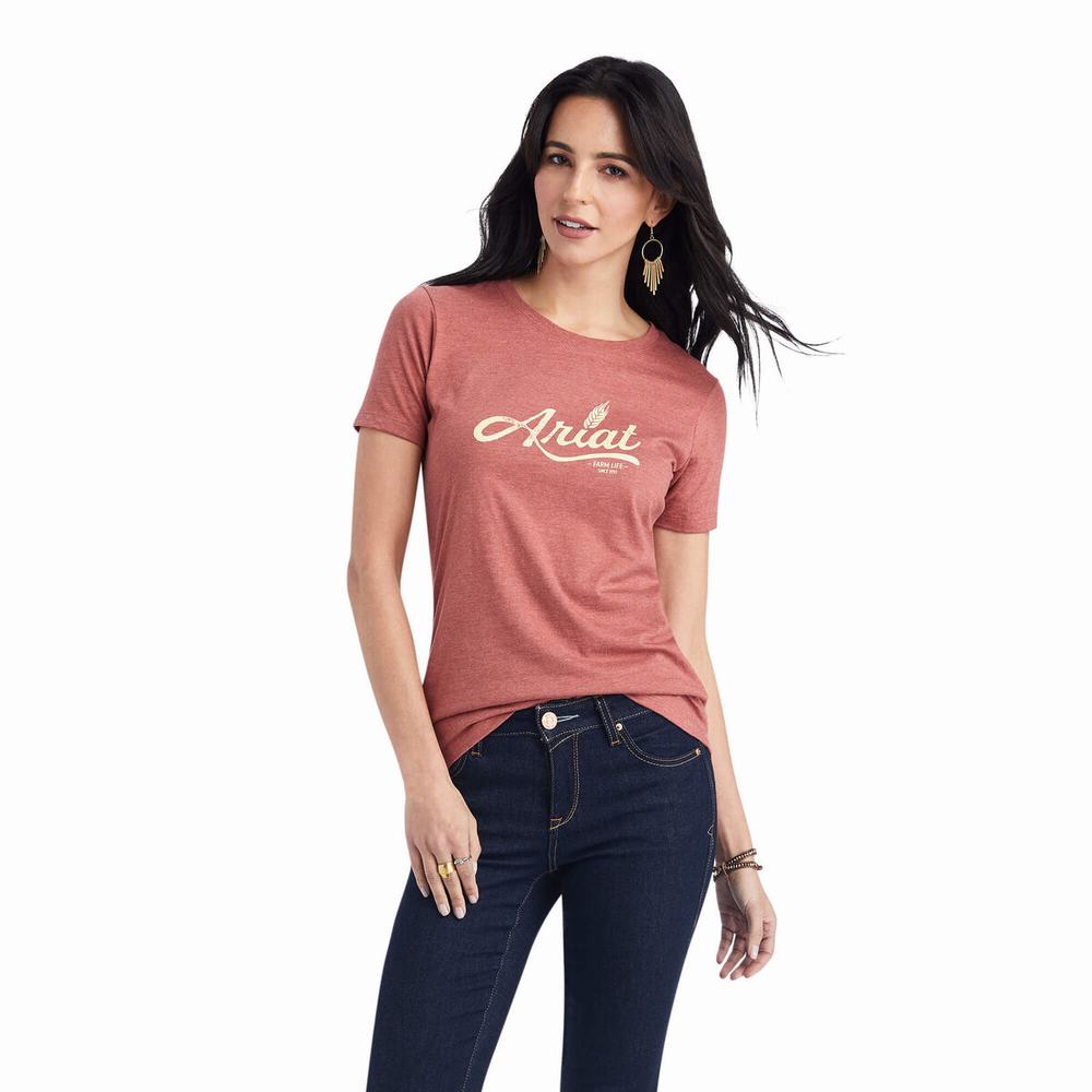 Women\'s Ariat Wheat Script Tops Red | LDRY-90457