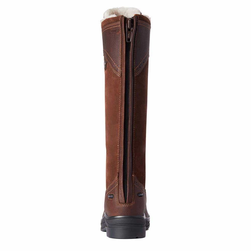 Women's Ariat Wythburn Tall Waterproof Riding Boots Dark Brown | BFAG-70569