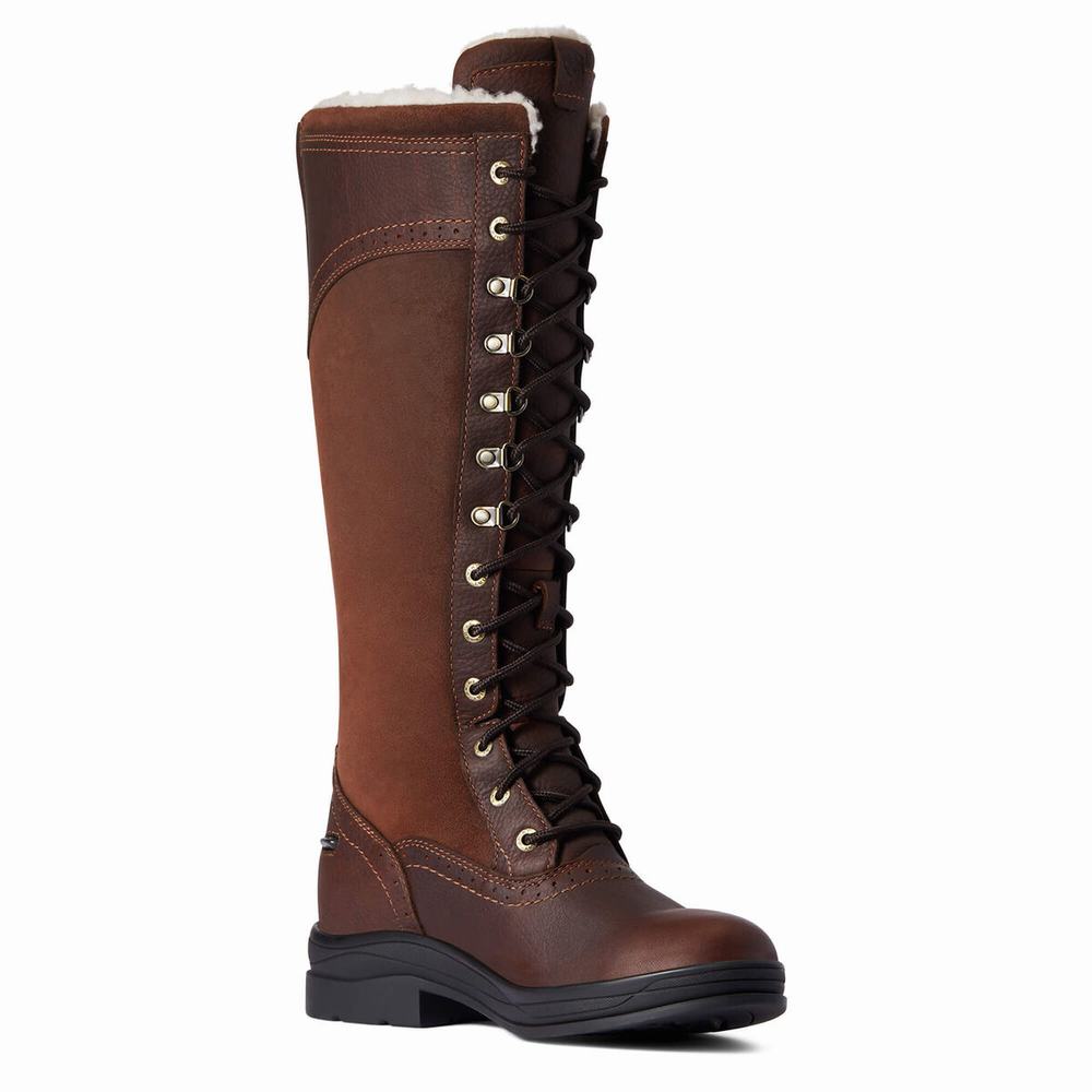 Women's Ariat Wythburn Tall Waterproof Riding Boots Dark Brown | BFAG-70569